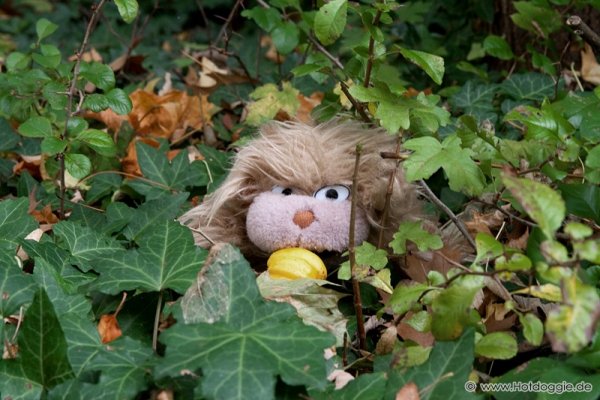 Plüss állat: Minyau a barna macska