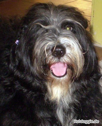 06-Artur-20070826.JPG