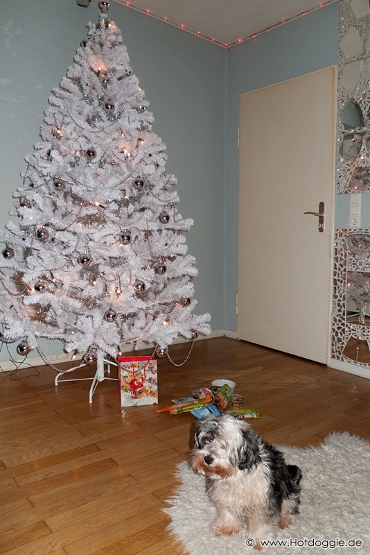Murray kutya karácsonya és karácsonyi ajándéka (2010)