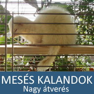 2. Mesés kaland: Nagy átverés