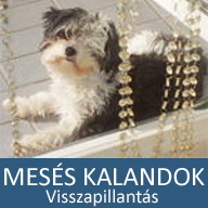 5. Mesés kaland: Visszapillantás