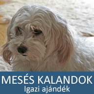 6. Mesés kaland: Igazi ajándék