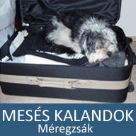 7. Mesés kaland: Méregzsák