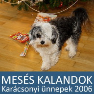 8. Mesés kaland: Karácsonyi ünnepek 2006