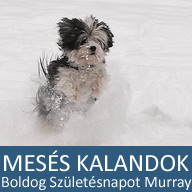 10. Mesés kaland: Boldog Születésnapot Murray