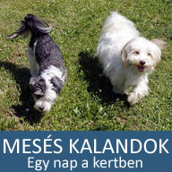 12. Mesés kaland: Egy nap a kertben